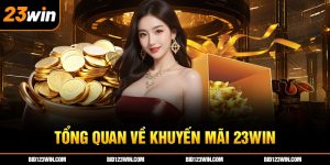 đại lý 23vin