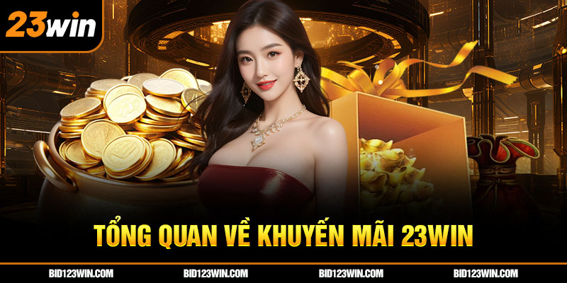 đại lý 23vin