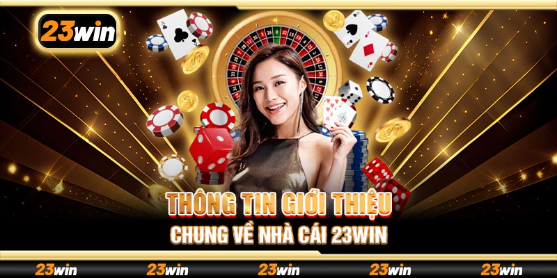 Giới thiệu chung về 23vin
