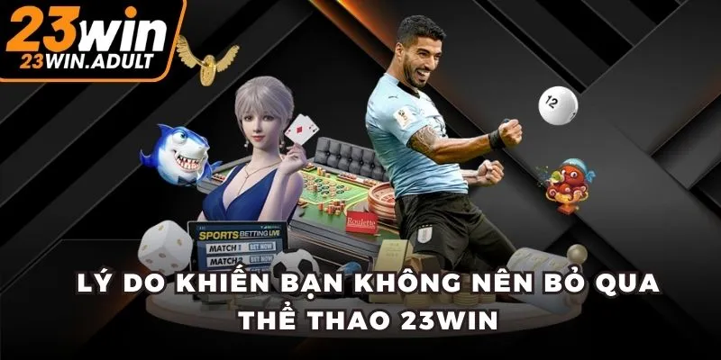 lý do không nên bỏ qua thể thao 23vin
